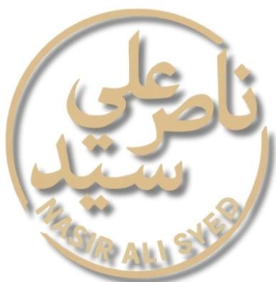 پروفیسر ناصر علی سید 